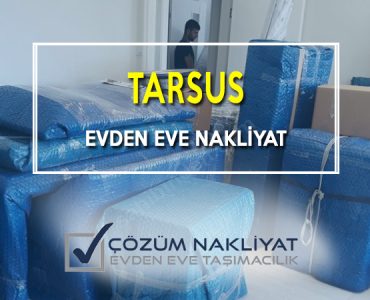 tarsus